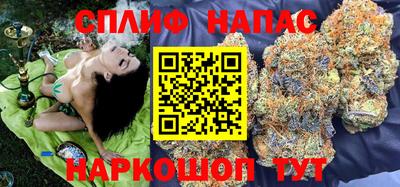 сатива Рязань