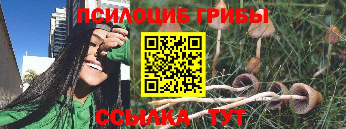 Чусовой  Псилоцибиновые грибы ЛСД  Вход с VPN 